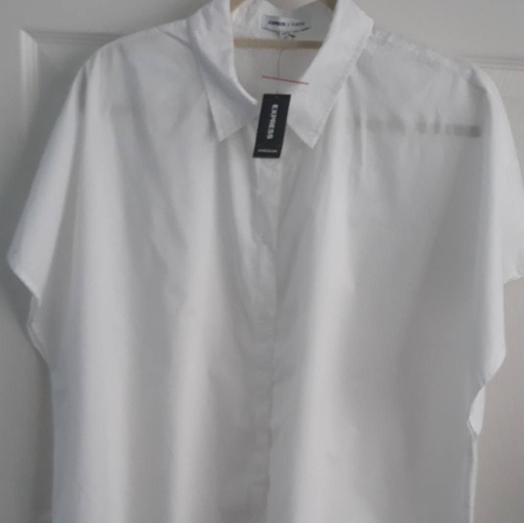 Express Oversize Button Down